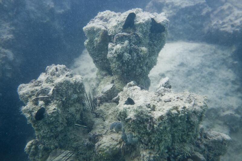 Coral thrives in a temperature of 28°C, but can start to bleach and die in the Arabian Gulf when the water hits 35°C to 36°C. Antonie Robertson / The National 