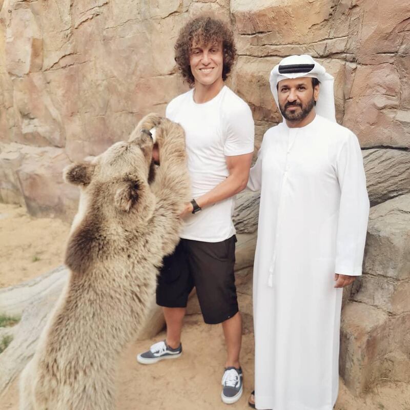 CENTRE-BACK: Chelsea's David Luiz visited the Belhasa farm in June. He is a sensible choice for Van Dijk's partner at the back. The other option was Newcastle's Florian Lejeune and a retired Eric Abidal.