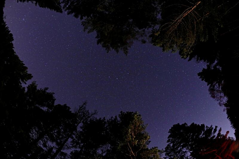 A spectacular show of stars in the night sky outside Krasnoyarsk, Russia. Reuters