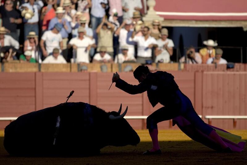 A Spanish assistant bullfighter gives the “coup de grace” with a dagger, to a bull during a bullfight in The Maestranza bullring in the Andalusian capital of Seville, southern Spain. Marcelo del Pozo / Reuters