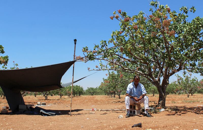 Syria's worst drought in 70 years took place last year and much of its land remains parched.