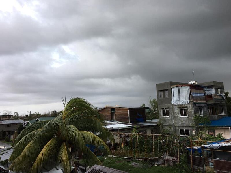 Fallen trees and buildings are seen after Typhoon Phanfone swept through Tanauan, Leyte, in the Philippines. Reuters