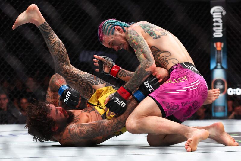 Sean O'Malley goes to work on a grounded Marlon Vera. Getty