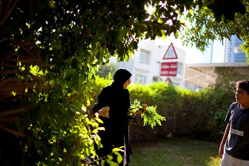 As she picks fruit and curry leaves for iftar dinner, Farida Siddiqui, a Khalidiya neighborhood resident of 32 years, talks with Mohammed Megdad, 10, in the garden of his home in the ADNOC Khalidiyah Compund in Abu Dhabi on Monday, August 1, 2011, the first day of Ramadan. (Silvia Razgova/The National)

