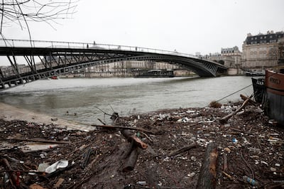 Debris in the Seine washed up after a recent storm. Reuters