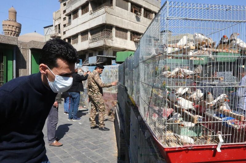 An Iraqi man wearing a protective mask looks at birds displayed for sale in a cage at Baghdad's Al-Ghazel bird market. AFP