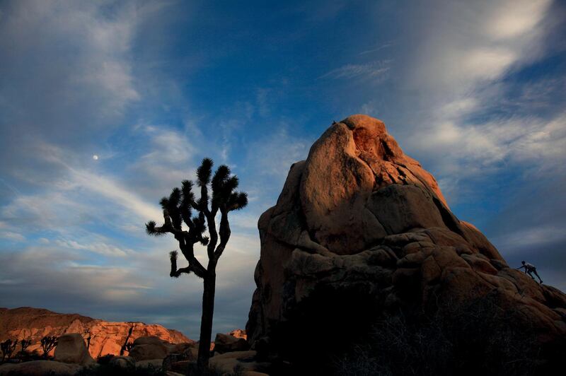 Joshua Tree National Park encompasses almost 800,000 acres and is about a threeÂ–hour drive from Los Angeles, Ca. The area became a national monument in 1936 and transitioned into a national park in 1994. The area is popular with rock climbers and nature enthusaists.  (Photo by Rick Loomis/Los Angeles Times via Getty Images)