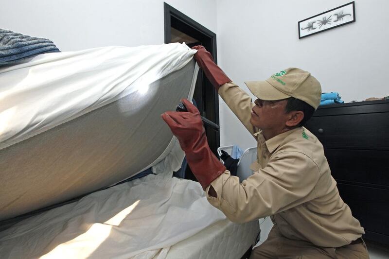 Arnel Rendon, a technician with National Pest Control, inspects a bed for possible bugs. Jeffrey E Biteng / The National