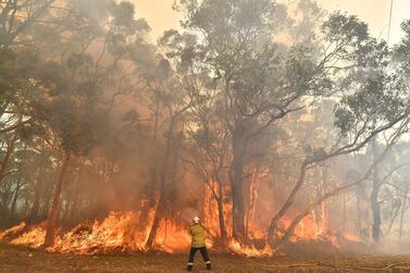 This photo taken on December 10, 2019 shows a firefighter conducting back-burning measures to secure residential areas from encroaching bushfires in the Central Coast, some 90-110 kilometres north of Sydney. AFP