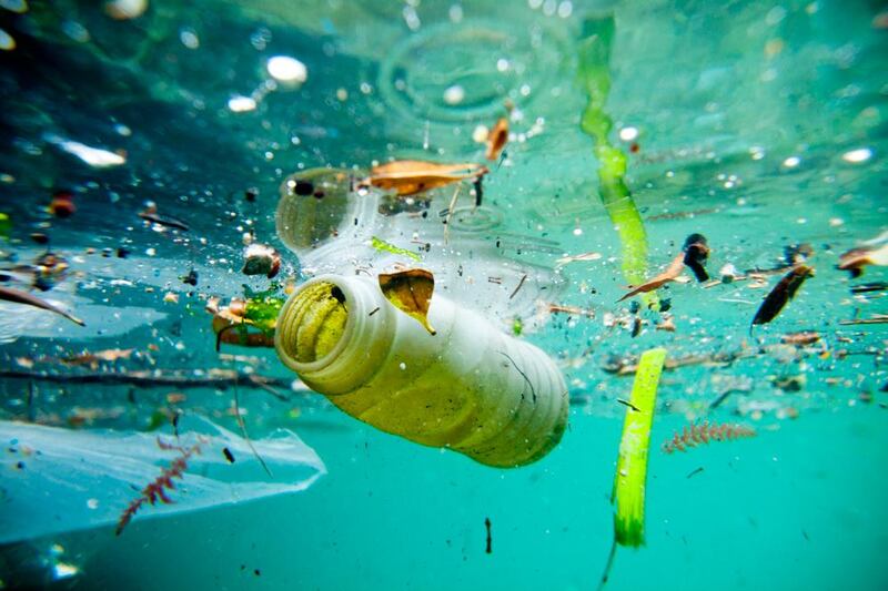 Plastics thrown overboard or that blow away from landfill end up at sea. Scientists say by 2050 they will outweigh fish. Courtesy of National Geographic