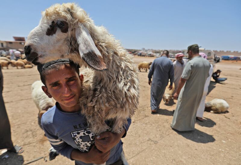 A shepherd carries a sheep at a livestock market in the town of Dana, east of the Turkish-Syrian border in the northwestern Syrian Idlib province. AFP