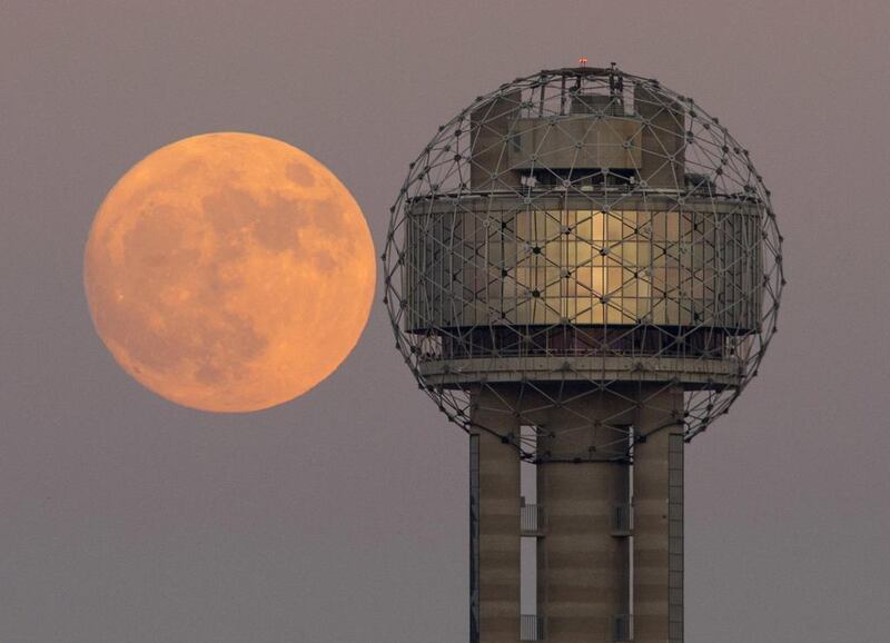 The moon rises behind Reunion Tower in Dallas, on Sunday November 13, 2016. Tom Fox / The Dallas Morning News via AP