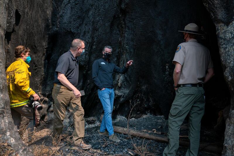 Gov. Gavin Newsom tours the fire damage to Big Basin Redwoods State Park.  AP