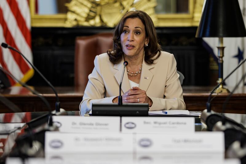 US Vice President Kamala Harris speaks while meeting with university and college presidents on access to reproductive health care in the Vice President's Ceremonial Office in Washington, DC, USA, 08 August 2022.   EPA / Samuel Corum  /  POOL