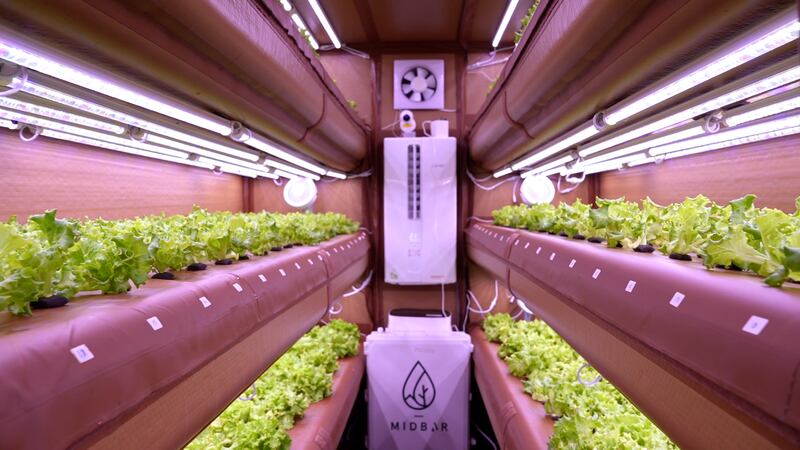 The portable AirFarm can grow tomatoes and potatoes without the need for soil. Photo: Abu Dhabi University