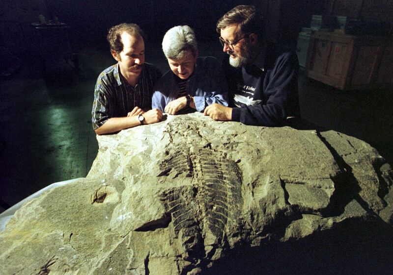 From left, Dr Stephen Godfrey, resident palaeontoligist with the Dinosaur World Tour, Dr Anne Warren from Melbourne Museum and Dr Alex Ritchie from the Australian Museum examine a fossil. Reuters