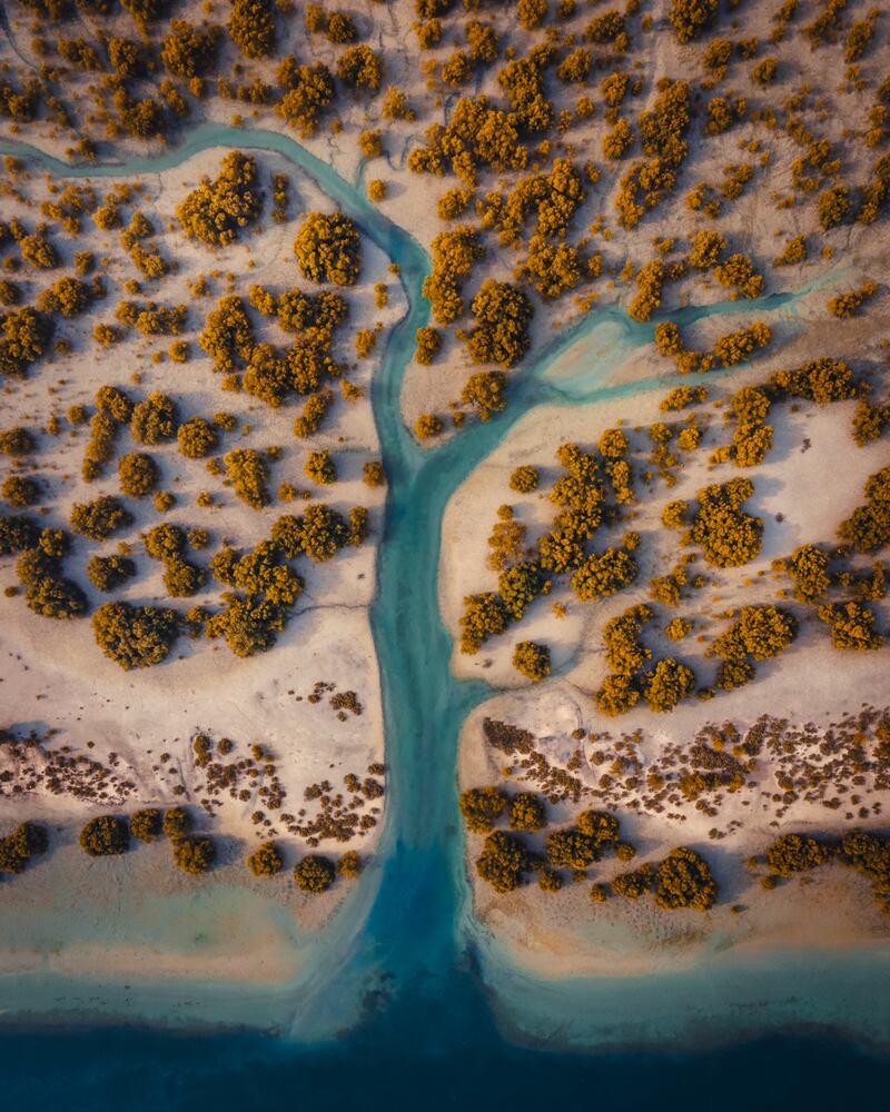 Highly Commended, Mangroves & Landscape, Amar Habeeb, UAE. Photo: Amar Habeeb / Mangrove Photography Awards