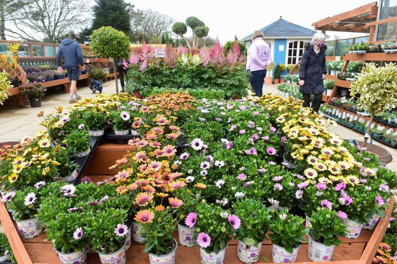 Customers browse plants at Lydstep Nurseries and garden centre in Lydstep. Reuters