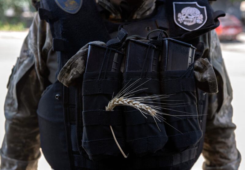 An ear of wheat adorns the vest of a Ukrainian soldier. AP