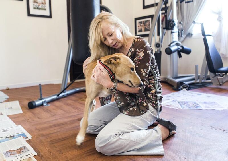 Debbie Lawson, of the Middle East Animal Foundation, with Jenga. The dog was found with a gunshot wound and is now in foster care. Ms Lawson and her group are trying to create awareness about the plight of abandoned animals in the UAE. Reem Mohammed / The National