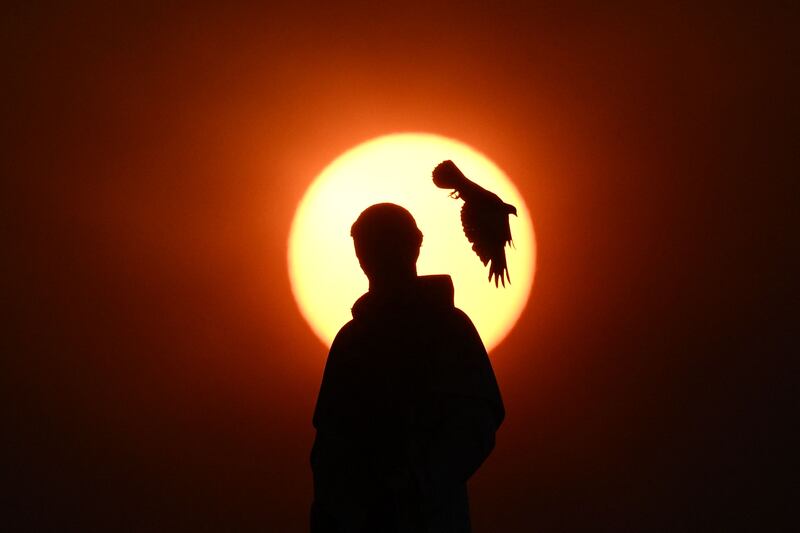 Pigeon and statue in the Sanctuary of Our Lady of Fatima at daybreak in Fatima, before the visit of Pope Francis. AFP