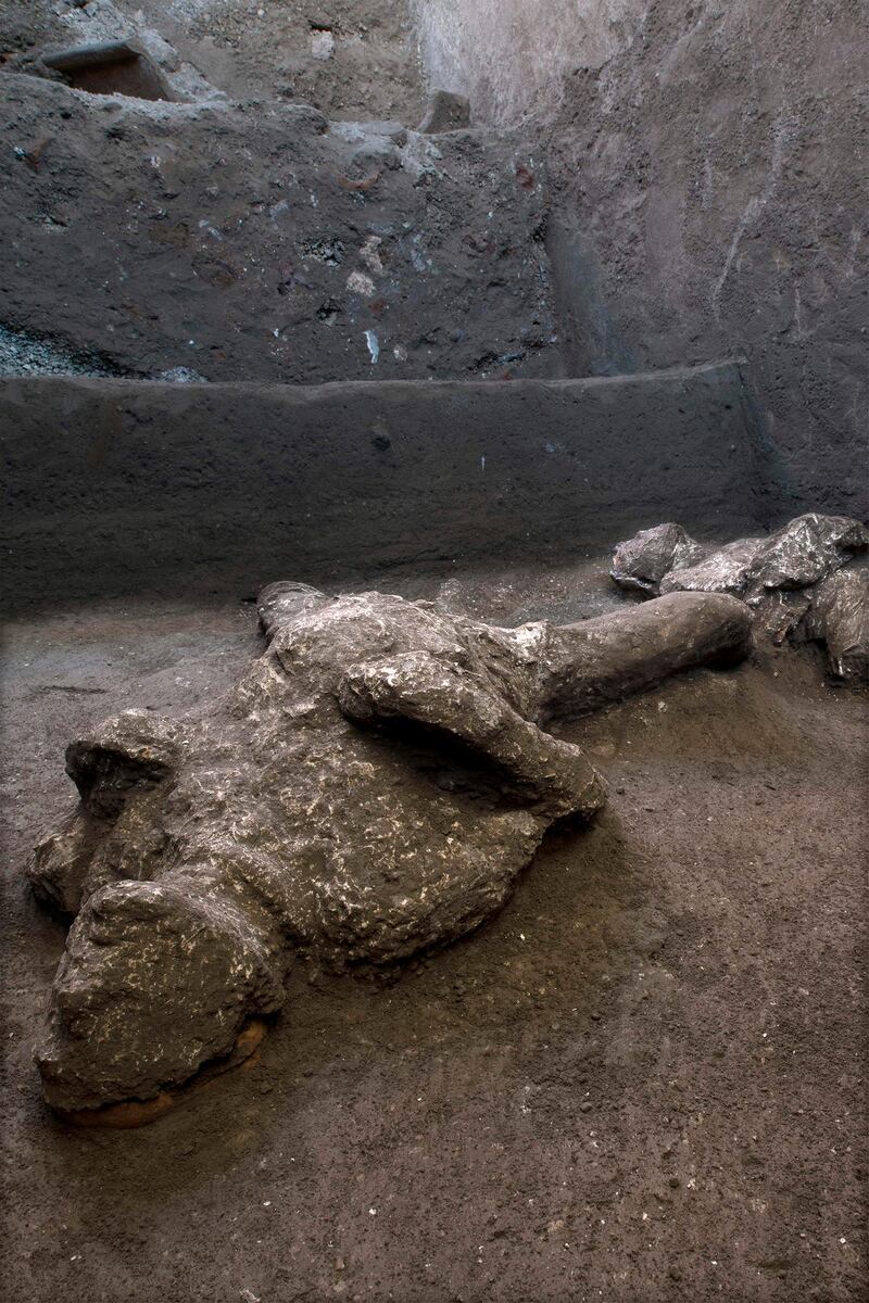 Casts of the bodies of two men, a 40-year-old master and his young slave, after they were found during recent excavations of a Villa in Civita Giuliana in the outskirts of Pompeii. AFP