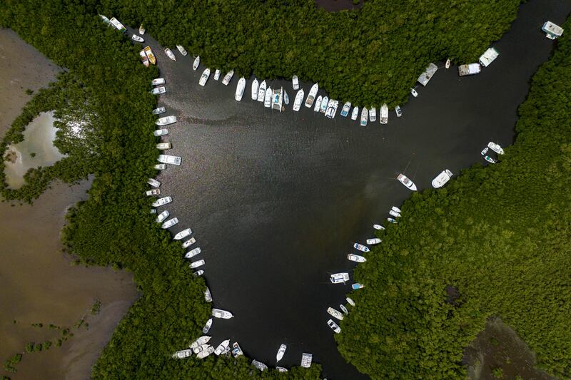 Boats secured to mangroves in Cabo Rojo, Puerto Rico, as tropical storm Fiona approaches. Reuters