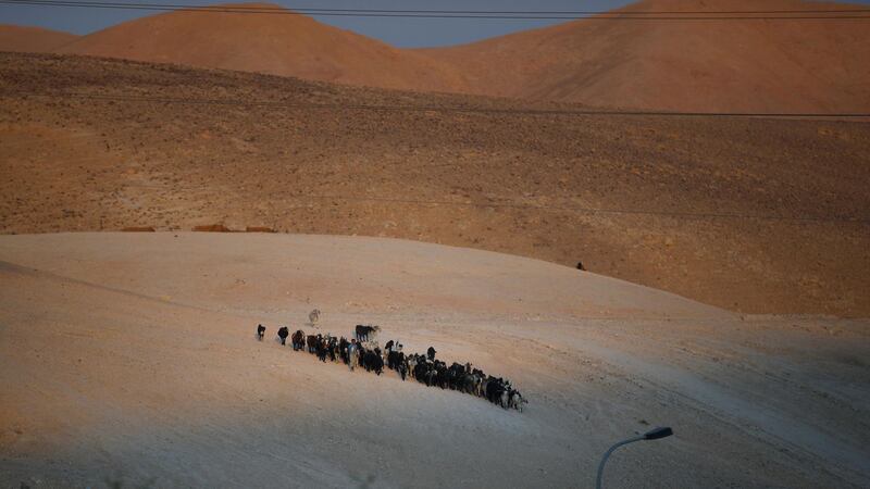 A bedouin Palestinian shepherd tends to his herd on a hill in the Judean desert near the bedouin village of Khan al-Ahmar in the Israeli occupied West Bank. The village of roughly 200 people is at risk of being demolished at any time, despite fierce criticism from key European nations.  AFP