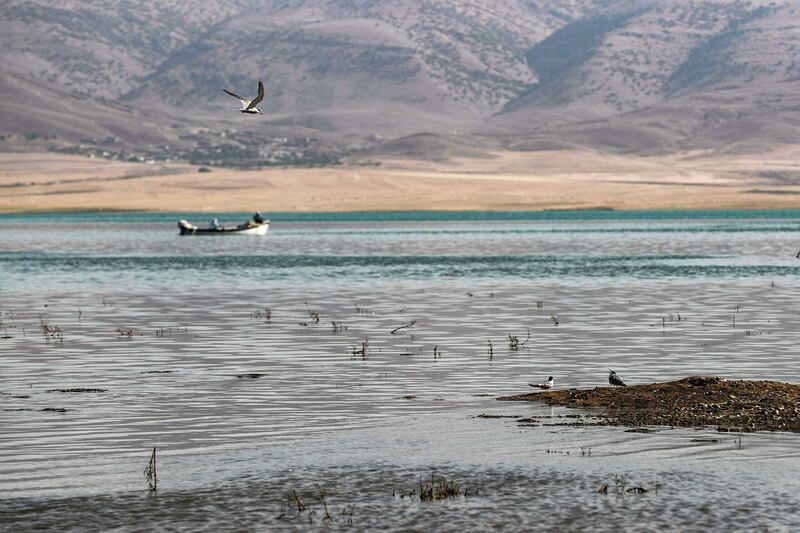 "The Kolsa dam has caused at least an 80 per cent drop in the water levels" of the Lower Zab, says Banafsheh Keynoush of the Washington-based Middle East Institute. She says Iran is going through one of the worst droughts in its history and has had to revise its irrigation policy. "Iran is on a dam-building spree, and many of its dams are small," she says.