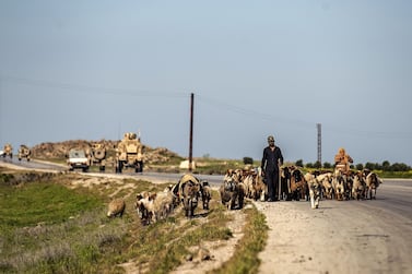 Syrian shepherds herd sheep past a US military convoy near the town of Tal Tamr in the northeastern Syrian Hasakeh province, by the border with Turkey, on April 14. Photo by Delil Souleiman / AFP