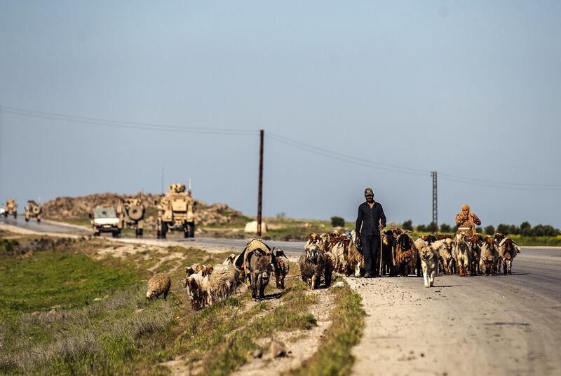 Syrian shepherds herd sheep past a US military convoy near the town of Tal Tamr in the northeastern Syrian Hasakeh province, by the border with Turkey, on April 14, 2020. (Photo by Delil SOULEIMAN / AFP)