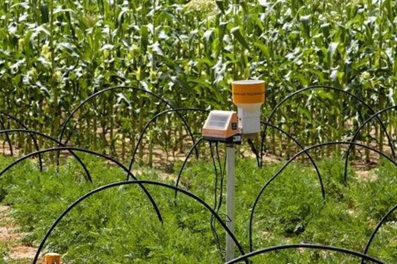 This sensor on a farm in the Western Region regulates the amount of water needed to grow crops such as carrots and corn.