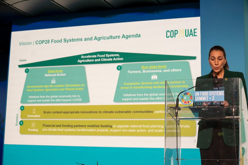 Mariam Al Mheiri, Minister of Climate Change and Environment, Minister of State for Food Security in July launched Cop28's Food Systems and Agriculture Agenda. Ms Al Mheiri called on governments to demonstrate leadership by signing the first-ever Leaders Declaration on Food Systems, Agriculture and Climate Action during the Food Systems Summit in Rome.