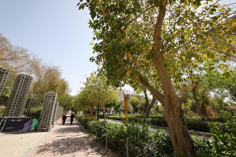 People walk on a tree-lined sidewalk in the Saudi capital Riyadh, on March 29, 2021. - Although the OPEC kingpin seems an unlikely champion of clean energy, the "Saudi Green Initiative" aims to reduce emissions by generating half of its energy from renewables by 2030. (Photo by Fayez Nureldine / AFP)