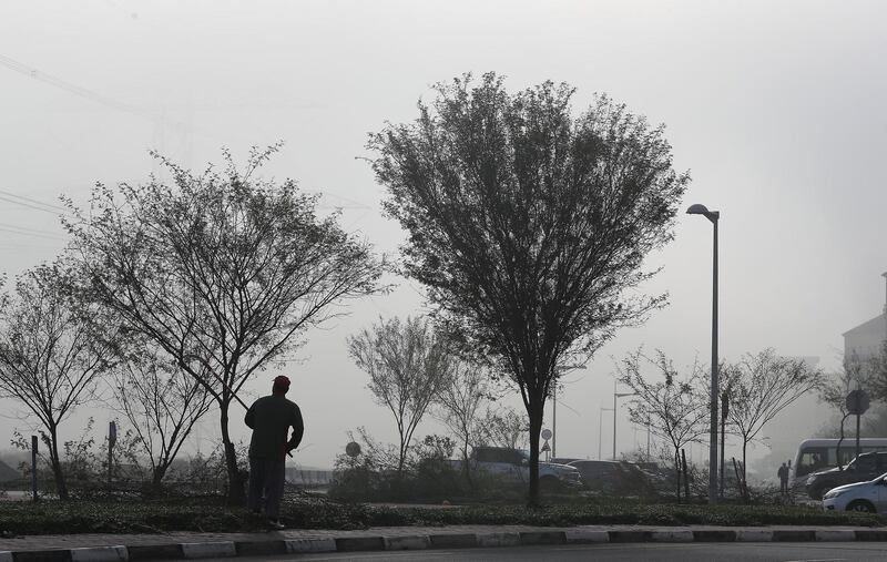 DUBAI, UNITED ARAB EMIRATES , Feb 16  – 2020 :-  One of the worker pruning the tree during the early morning fog in Discovery Gardens area in Dubai.  (Pawan  Singh / The National) For News/Online/Instagram. 