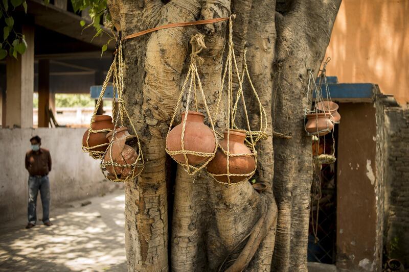 Earthen urns containing the ashes of Covid-19 victims hang from a tree at a crematorium in Moradabad, in the northern Indian state of Uttar Pradesh. Anindito Mukherjee/Bloomberg