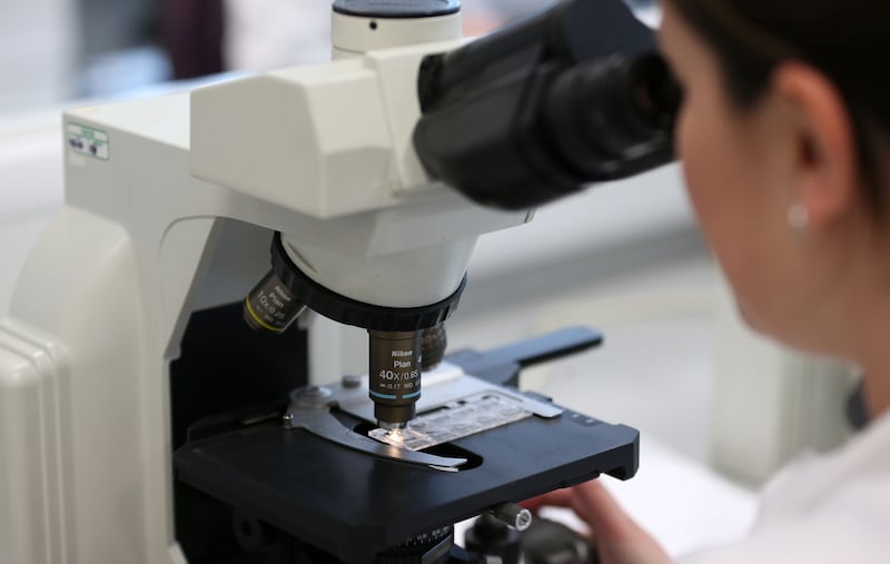 The Department of Health – Abu Dhabi has joined a new coalition that seeks to find new treatment and screening programmes that will speed up the detection of cancer. PA