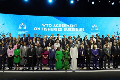 Delegates during a session on fisheries subsidies at the 13th WTO Ministerial Conference in Abu Dhabi. AFP
