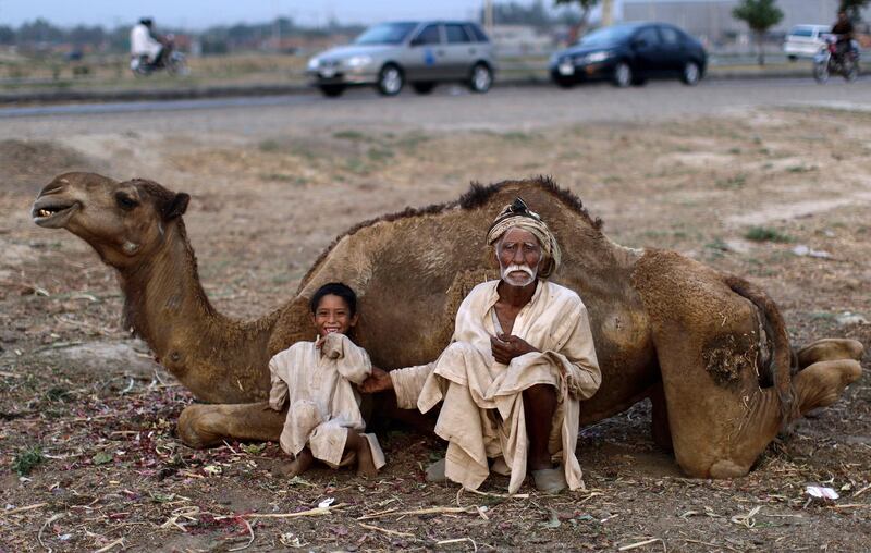Pakistani Allah Ditta Jandool, 76, right, who sells camel milk, tickles his grandson Nasser, 7, while waiting for customers, on a roadside on the outskirts of Islamabad, Pakistan, Thursday, July 5, 2012. (AP Photo/Muhammed Muheisen)