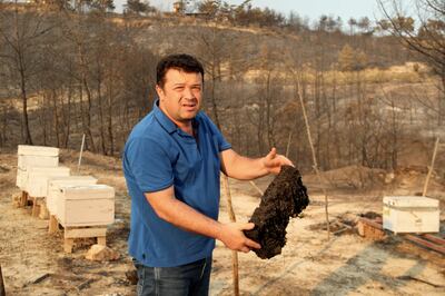 Beekeeper Guven Karagol shows his burnt beehives in Manavgat, Turkey, on August 7. AP