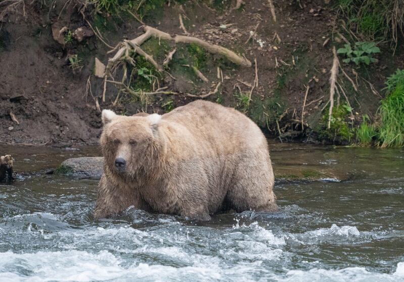 128 Grazer. Photo: NPS Photo