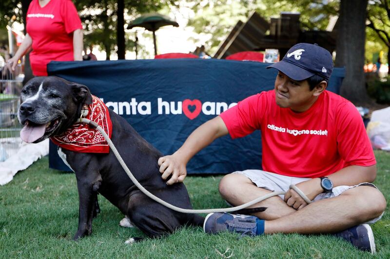 Pete Kriengsiri, a volunteer with the Atlanta Humane Society, keeps Raja the dog company during Doggy Con in Woodruff Park, Saturday, Aug. 17, 2019, in Atlanta. Humane society volunteers brought multiple dogs up for adoption to the event, which was inspired by the larger pop-culture convention Dragon Con. (AP Photo/Andrea Smith)