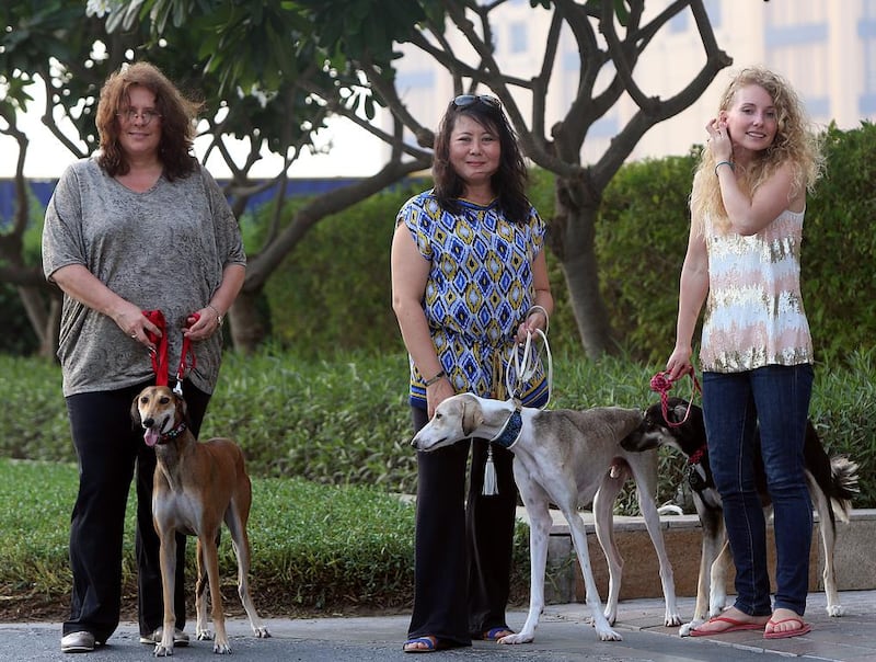 Wiltrud Matthes with her saluki Noor, Rachel Thong with Comet and Marianna Wright with Lily. Ms Matthes and Ms Thong have set up Saluki Rescue UAE. Satish Kumar / The National