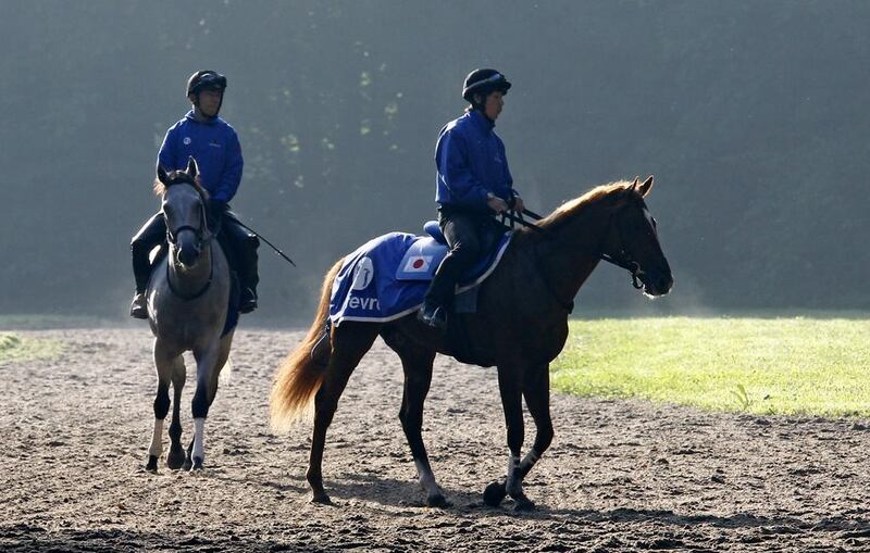 Japanese horse Orfevre, right, trots on a training field, in Chantilly, west of Paris. AP Photo