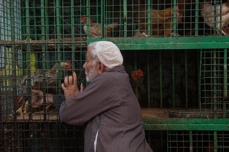 A vendor fetches a live chicken from a cage in the Nasr city district of Cairo. Bloomberg