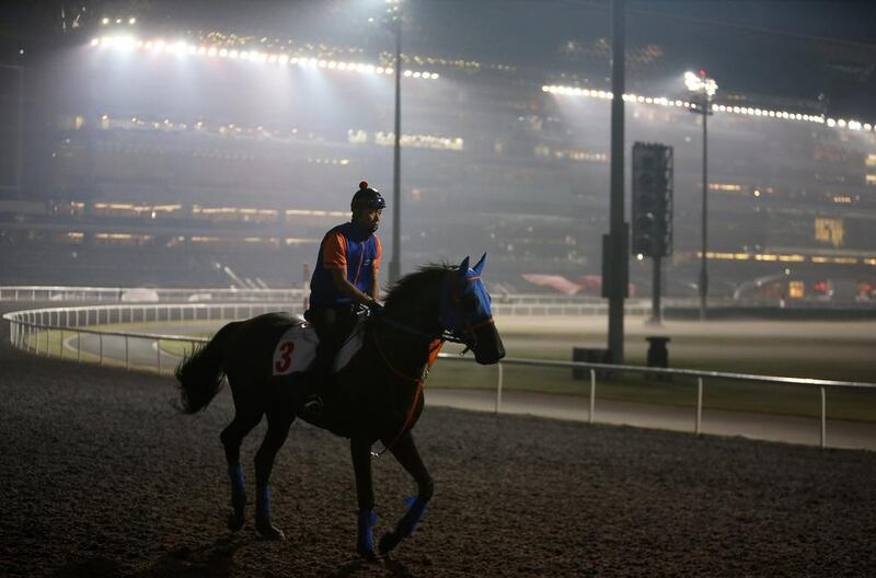 Belshazzar gallops on the new dirt track surface at the Meydan Racecourse in Dubai during the morning session on Wednesday. Pawan Singh / The National