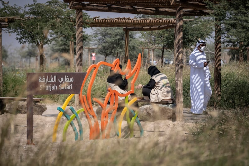 Shurooq plans to open a new boutique hotel near Sharjah safari. Antonie Robertson / The National