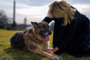 First lady Jill Biden pets Champ after his arrival from Delaware at the White House in Washington, US. The Bidens have announced that Champ has died at the age of 13. Adam Schultz / White House / Handout via Reuters 