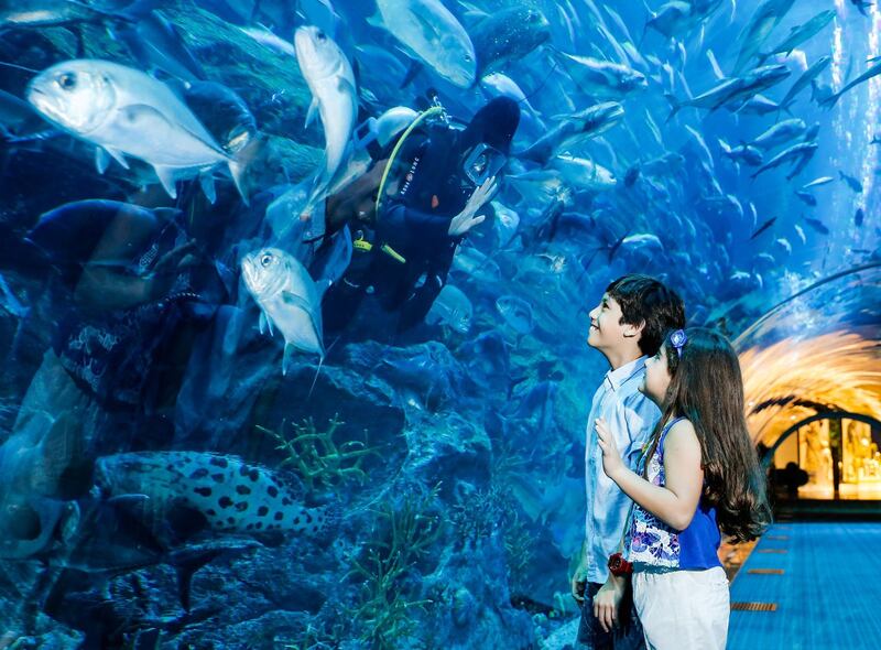 Dubai Aquarium & Underwater Zoo. Courtesy: Emaar Entertainment *** Local Caption ***  al05ju-Top 10-7.JPG