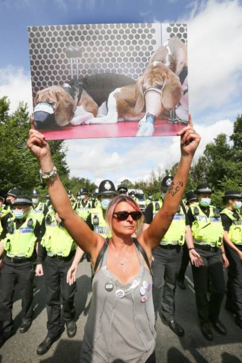 Camp Beagle is a protest camp on the roadside set up outside beagle breeder Marshal BioResources Acres in Cambridgeshire, the UK, in August 2021. The company's pups are sold to animal testing laboratories. Sopa Images / LightRocket / Getty